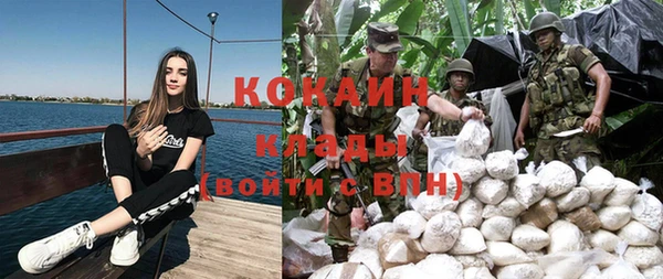 спайс Алзамай